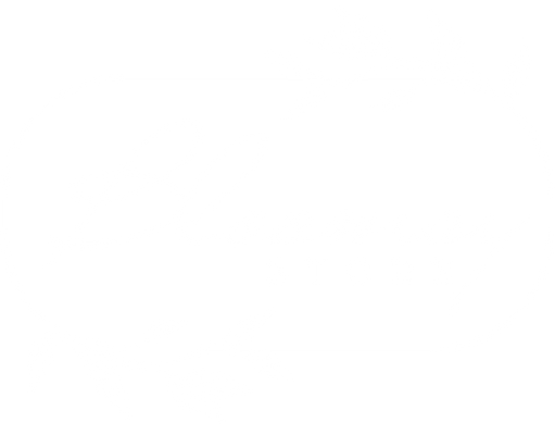 Bloomsystore